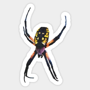 Yellow and Black Orb-Weaver Spider Sticker